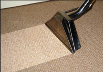 Reasons To Have Your Carpet Cleaned Regularly