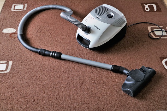 All You Need To Know About Professional Carpet Cleaning