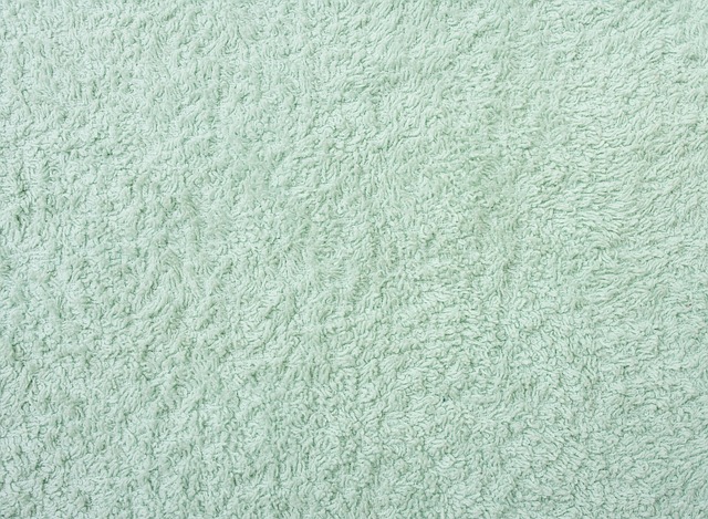 Cleaning Your Carpet: Tips And Tricks
